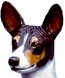 basenji-bust-lgtn.jpg (3135 bytes)