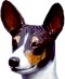 Basenji Bust