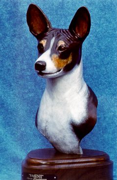 Basenji Bust