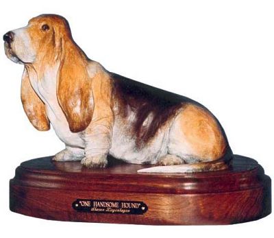 Basset Hound
