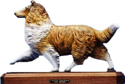Collie